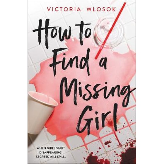 How to Find a Missing Girl image 0