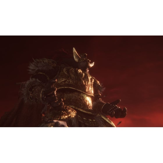 Elden Ring: Tarnished Edition (Game Key Card) - Nintendo Switch 2 image 5