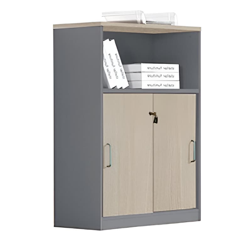 Ντουλάπι Woodwell Progress με Ράφι 80x40x120cm - Γκρι