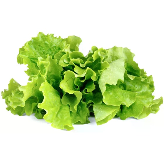 Κάψουλες Click and Grow 3 Τμχ - Μαρούλι image 2