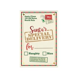 Χριστουγεννιάτικη Κάρτα Legami Special Delivery