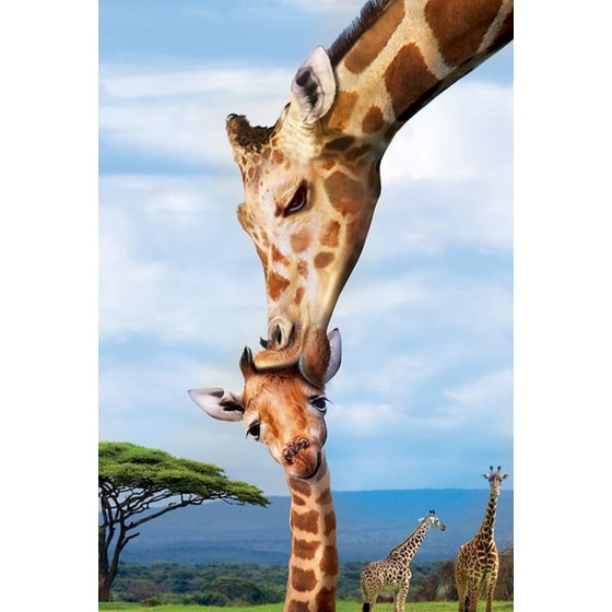 Παζλ Eurographics Giraffes (250 Κομμάτια) image 1