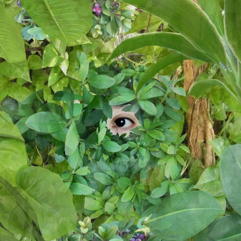 Beginning/Lena Willikens Remix