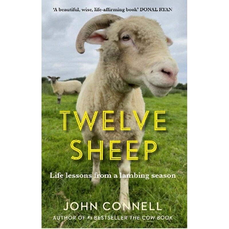 Twelve Sheep