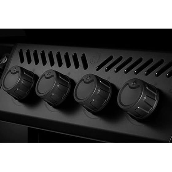 NAPOLEON FP425DSIBPK 15 kW Μαύρο Ψησταριά Υγεραρίου image 4