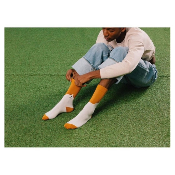 Κάλτσες DOIY Σκύλος image 1