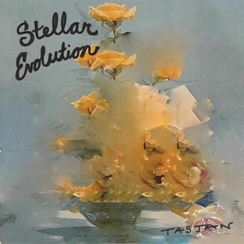 Stellar Evolution (Limited Black Vinyl LP)
