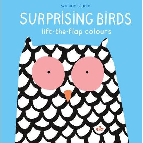 Surprising Birds: Lift-the-Flap Colours image 0