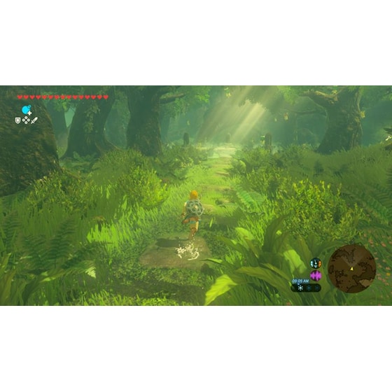 The Legend of Zelda: Breath of the Wild - Nintendo Switch 2 image 2