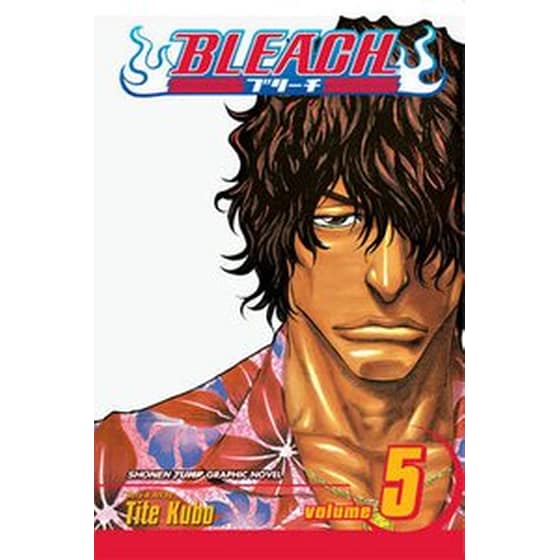 Bleach, Vol. 5 image 0