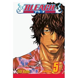 Bleach, Vol. 5
