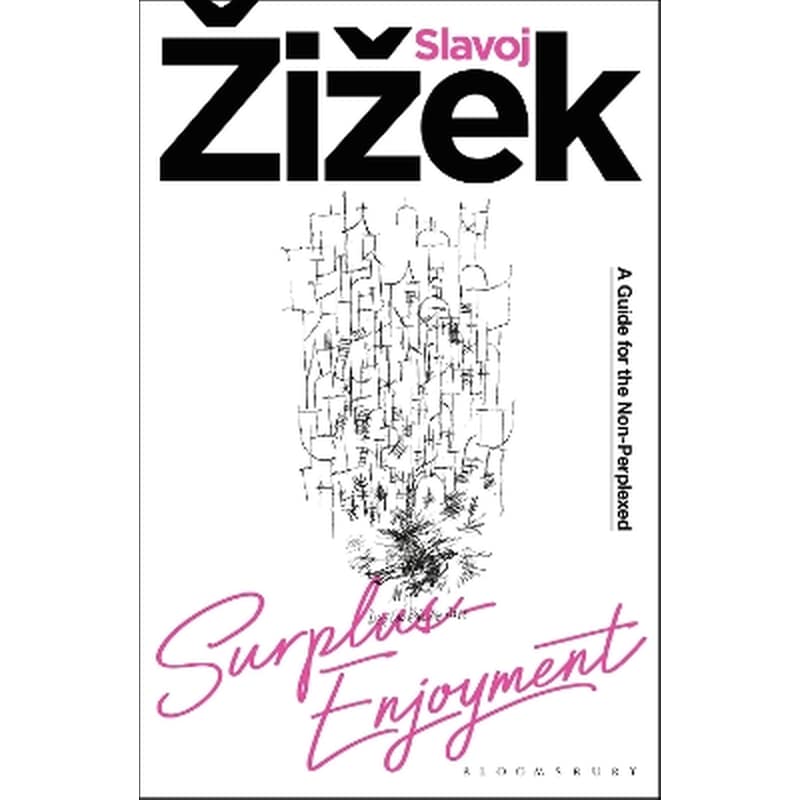 Surplus-Enjoyment