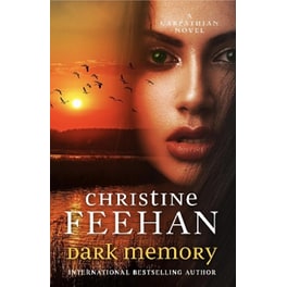 Dark Memory