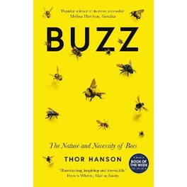 Buzz