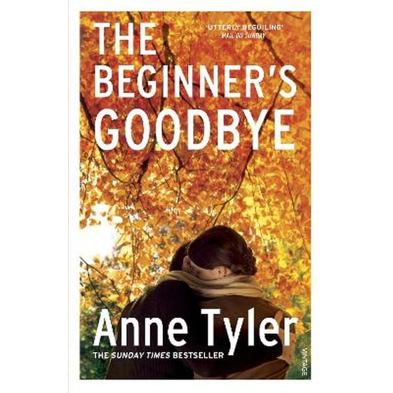 Beginner's Goodbye image 0