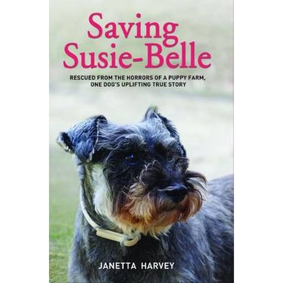 Saving Susie Belle image 0