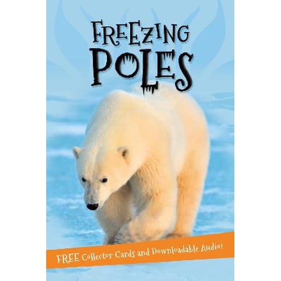 It's all about... Freezing Poles image 0