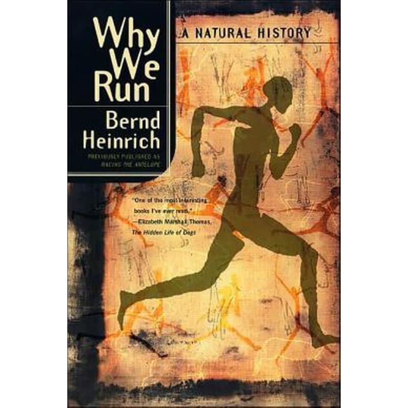 Why We Run