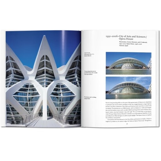 Calatrava image 2