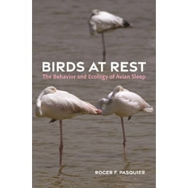 Birds at Rest