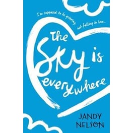Sky Is Everywhere