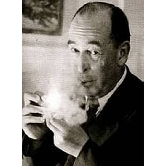 Ο ανεψιός του μάγου image 1