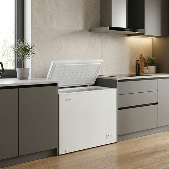 DAVOLINE HD 145 W 142 Lt Λευκό Καταψύκτης Μπαούλο image 3