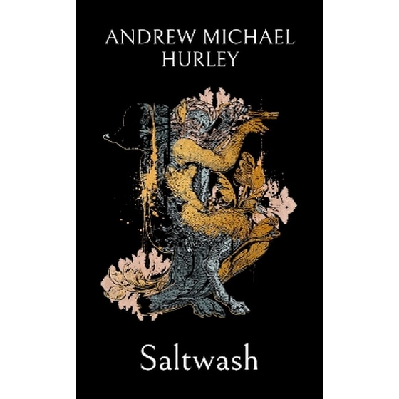 Saltwash image 0