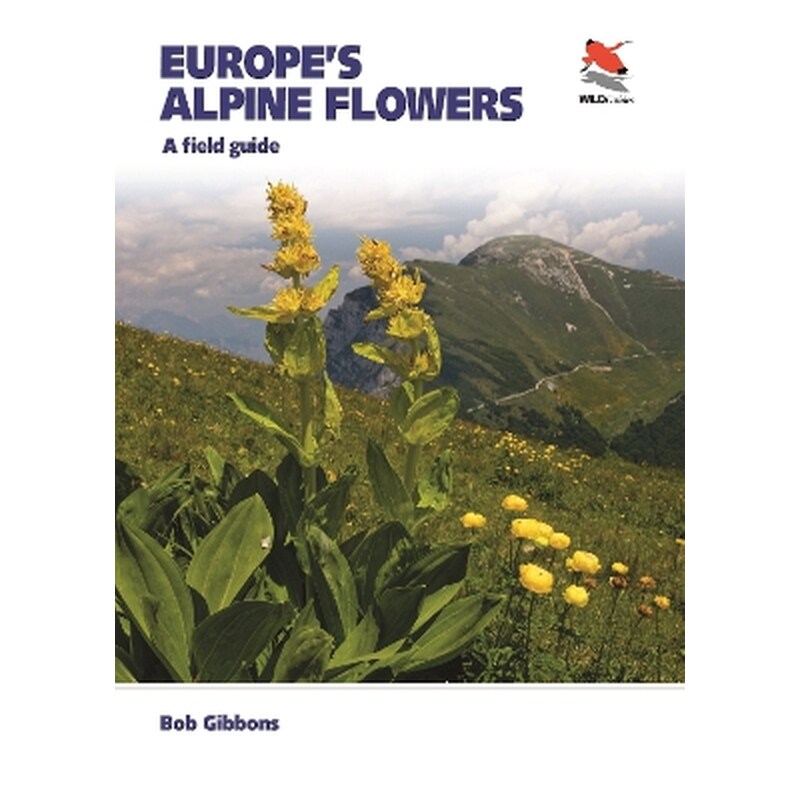 Europes Alpine Flowers