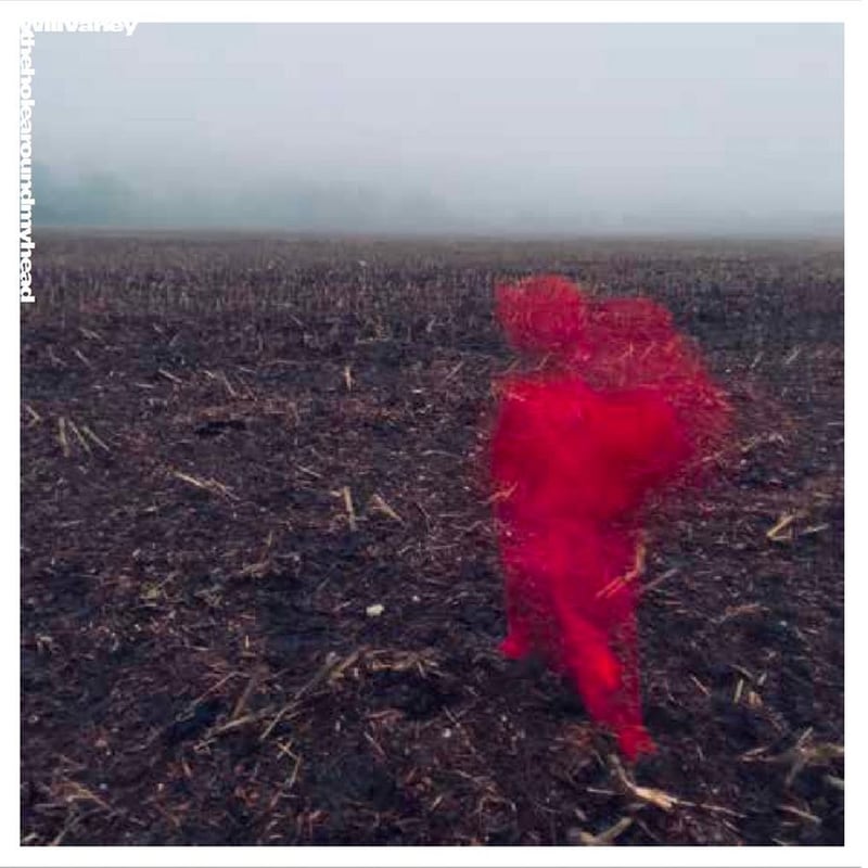 The Hole Around My Head (LP Red)