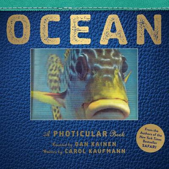 Ocean image 0