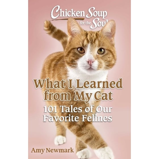 Chicken Soup for the Soul: What I Learned from My Cat image 0