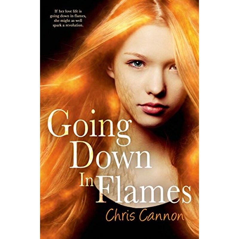 Going Down in Flames (Going Down in Flames, #1)
