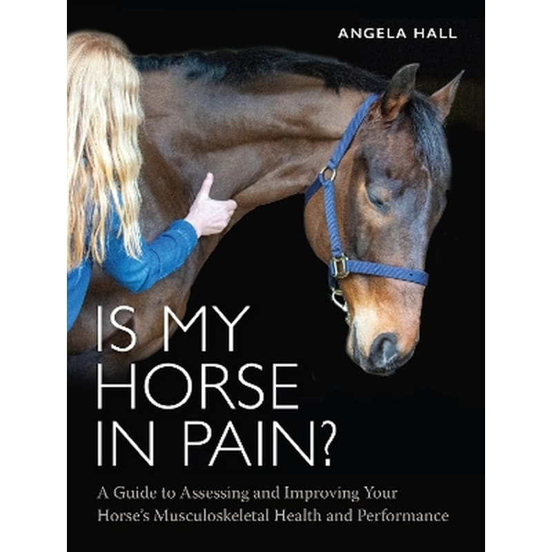 Is My Horse in Pain?