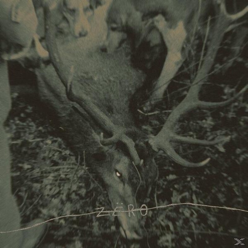 Hungry Dogs (In The Backyard)