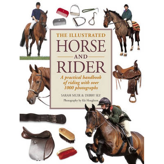 Illustrated Horse and Rider image 0