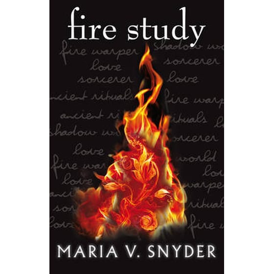 Fire Study image 0