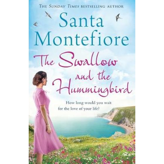 Swallow and the Hummingbird image 0