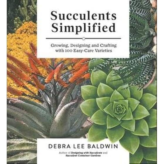 Succulents Simplified image 0