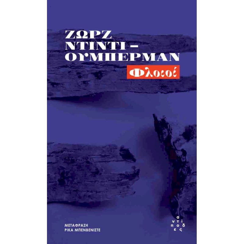 Φλοιοί