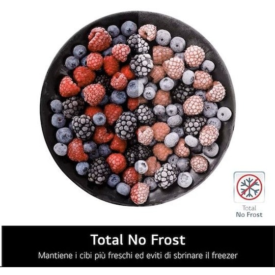 LG GMVW50DDMB Total No Frost 644 Lt Ασημί Ψυγείο Ντουλάπα image 9
