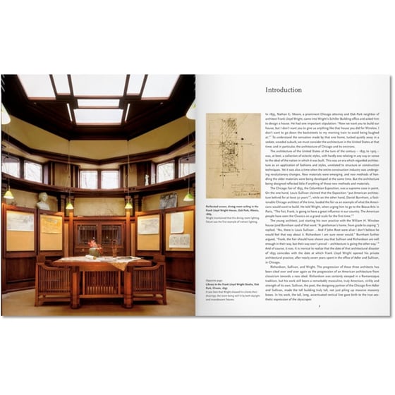 Wright image 1
