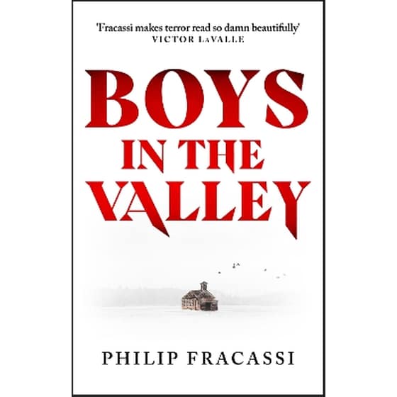 Boys in the Valley image 0
