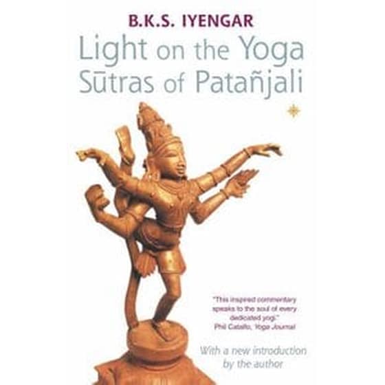 Light on the Yoga Sutras of Patanjali image 0