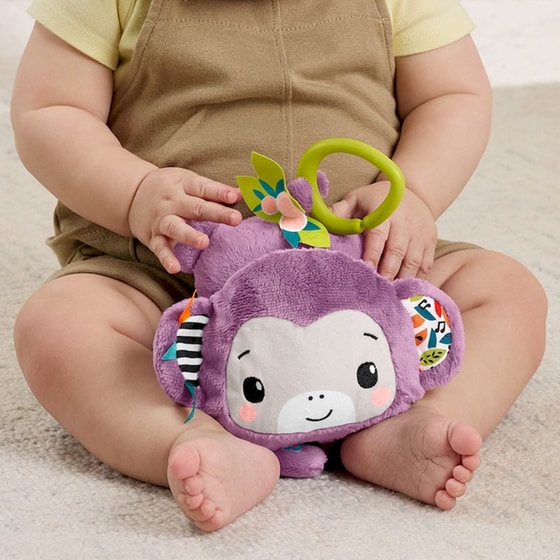 Fisher-Price Κρεμαστό Μαϊμουδάκι με Μουσική (JFF02) (JFF02) image 2