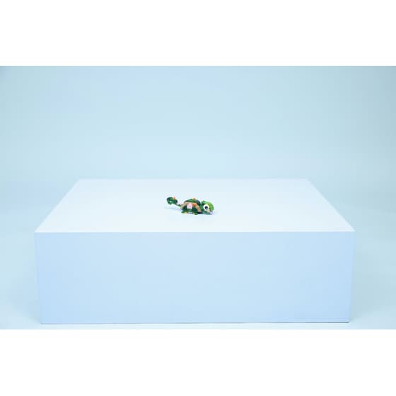 LEGO® Creator Turtle with a Water Lily Flower (31377) image 6