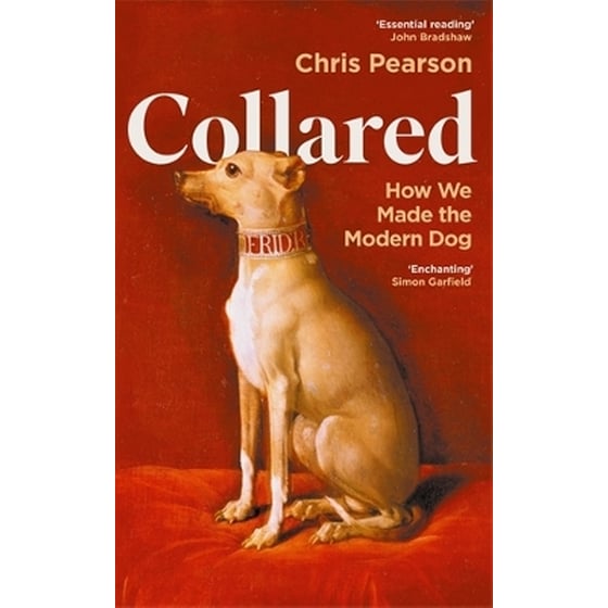 Collared image 0