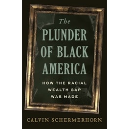 The Plunder of Black America
