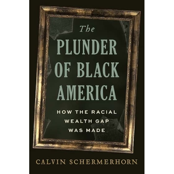 The Plunder of Black America image 0