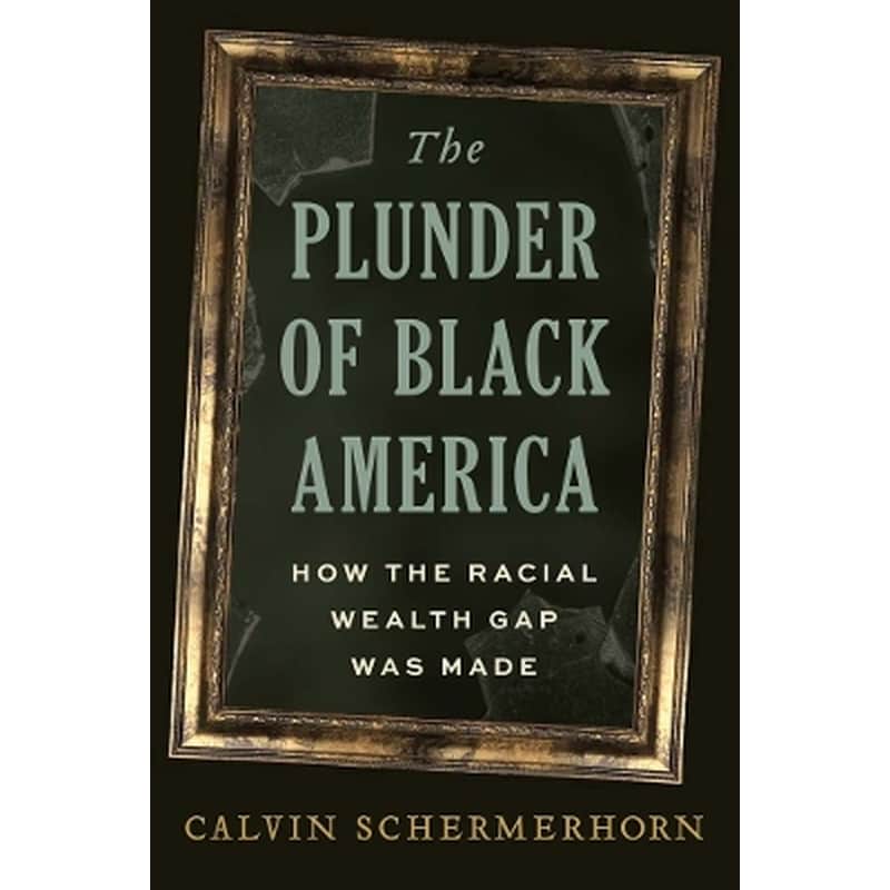 The Plunder of Black America